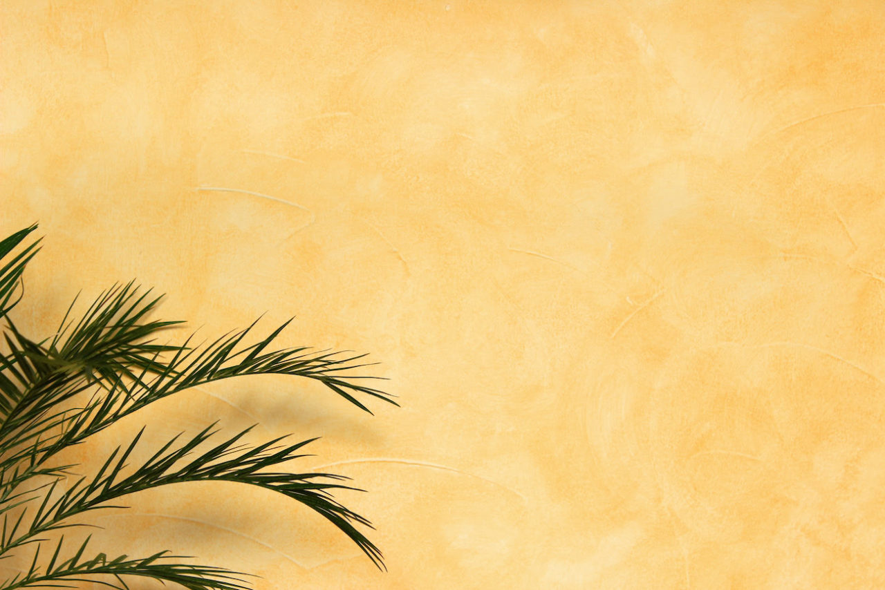 Malerarbeiten und Wandgestaltung vor Ort — Malerbetrieb Fecher Aschaffenburg